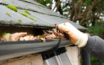 gutter cleaning Middle Brighty, Angus